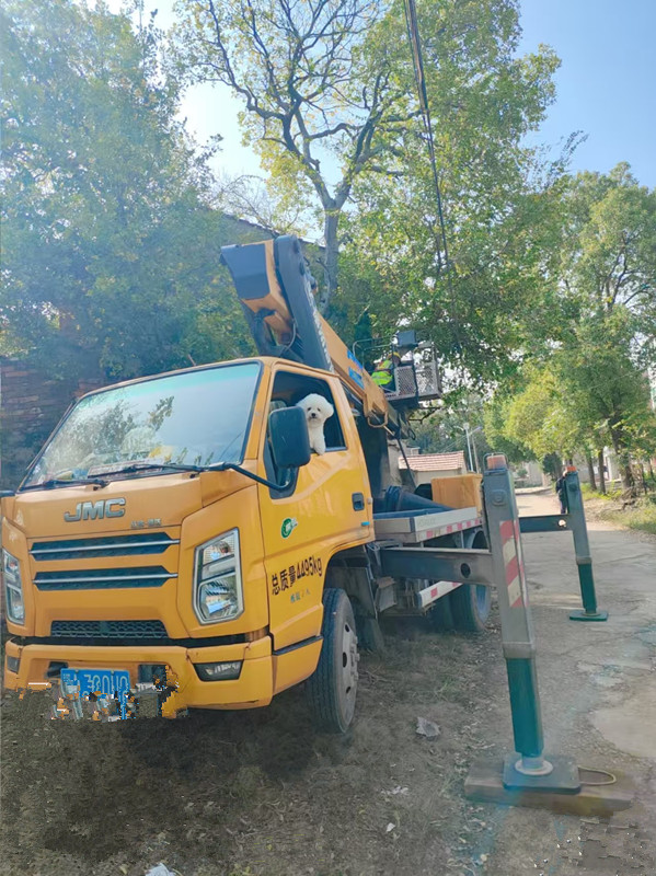 微信图片_20251111111043_102_12.jpg 微信图片_20251111111043_102_12.jpg